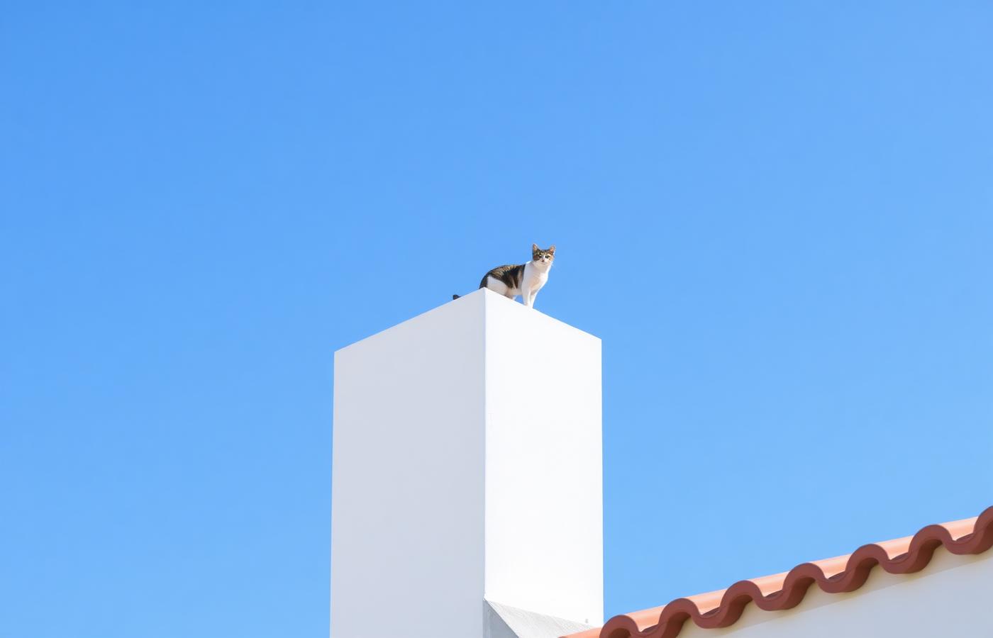 Bright white rooftop against a clear blue sky